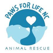 Cindy PFLNC from Paws for Life NC
