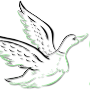 Alicia Sukalic from Spiritual Foundation Coaching