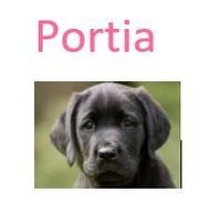 Portia Lowther from Canna Care Docs - Woodbury
