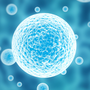 Doctor Joel Singer from Image Plastic Surgery Center, Inc.