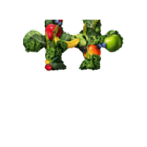 Gary Younts from Completely Essential Nutrition