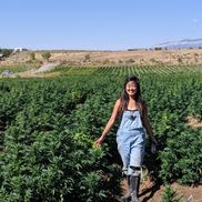 Kaylee A Irwin from Silver Leaf Hemp LLC