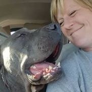 Apollo Support & Rescue for Abandoned Dogs