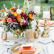 Vicky Alexa Anna Hemingway from Hemingway Home