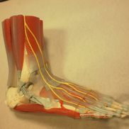 Axel Rohrmann from Regina Family Foot Clinic