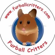 Diane Kipnis from Furball Critters