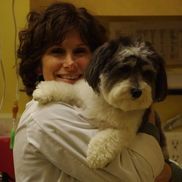 Wendy Bernstein, DVM from Critter Doctor Animal Hospital