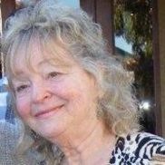 Susan Fillis from Visions International Feline Supplies