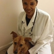 Dr. Terry Morris from Vets to Vets United, Inc