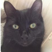 Beth Deters from Cherokee Humane Society