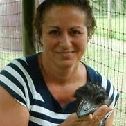 Dee Dee Mares from Songline Enterprises LLC