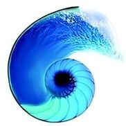 Angela M. Shaw from Emerald Coast Hypnosis & Wellness