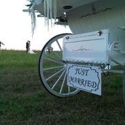 Kathy Vincent from Ava K's Horse-Drawn Carriage Service