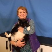 Jill Gardner from Greater Huntsville Humane Society