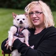 Susannah Maynard from Pet Love Photography