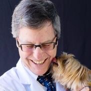 David Gordon from Arch Beach Veterinary Clinic