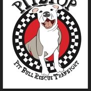 Cynthia Saben from Pitstop Pit Bull Rescue Transport