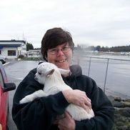Lisa Twining from Dancing Goat Web Design