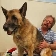 David Bernacchi from Pets4Luv Foundation