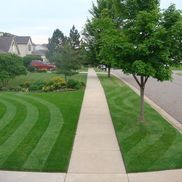 Vassilios Kalivas from BK LAWN CARE