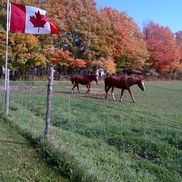 Stephen Dineley from ADS 2000