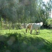 Patricia Watson from Aero Lock & Safe, Inc.