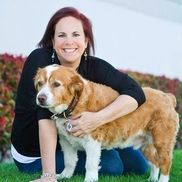 Beke Lubeach from Dog E-Discounts