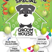 Anna Leong from Groom House Daycare & Pet Salon