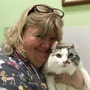 Lori Coughlin from The Cat Practice