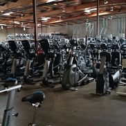 Primo Fitness from Primo Fitness