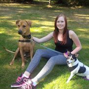 Avril Schryvers from Adventure Hounds Dog Walking Services
