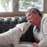 Munster Abbey from Dog Boarding & Day-Care Munster Abbey Kennel LLC