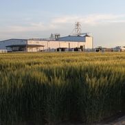 Clay Smith from Eastern Colorado Seeds, LLC