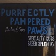 Purrfectly sale pampered paws