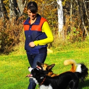 Ashley Clark CPDT-KA from You and Your Dog Training & Services