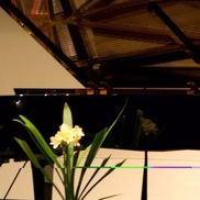 John Orlando from The Distinguished Artists Concert Series