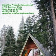 Peter Sheehan from Gunsite Roofing LLC