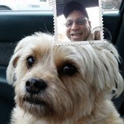 Chaz Fernandes from coolectibles.toronto....Vinyl Records, CDs and Memorabilia