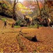 Shawndelle Kurka from Sleeping Giant Photography