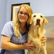 Dawn Fradkin from Bergheim Pet Hospital and Clinic