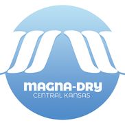 Magna-Dry Carpet & Upholstery Spot Cleaner 16 OZ