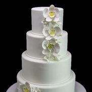 Stacey Leon from Butterfly Bakeshop & Small Batch by Butterfly Bakeshop