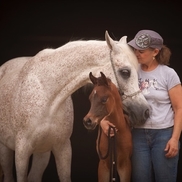 LD Arabians