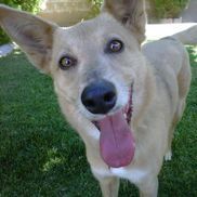 Kimberly Maevers from Fun Fur U - In Home Pet Care