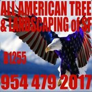 Anthony Aidone from All American Tree Services & Landscaping of South Florida, Inc.