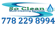 James Cooper from So Clean-Cleaning service in maple ridge