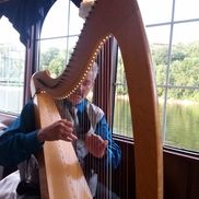 Reuben Correa from R. Correa Music, Harpist