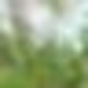 Peter Toering from Peter Toering, Managing Broker/Realtor at Coldwell Banker Realty