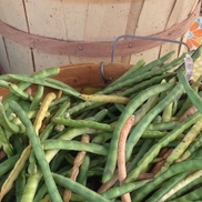 Lynette Goodson from Historic Longview Farmers Market