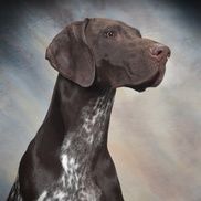 Karen Verkutis from Corporate Images Inc.